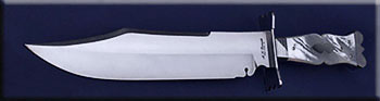 KALD002C-mop-bowie-solo.jpg