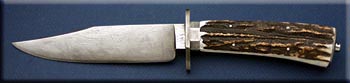 KBB007-stag-dam-sm-bowie-solo.jpg