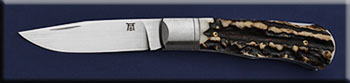 KBB014-stag-LB-solo.jpg