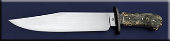 KBF002-buckeye-bowie-solo.jpg