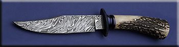 KCCM017-stag-bowie-solo.jpg
