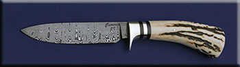 KCCM018-stag-smhunter-solo.jpg