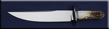 KDELR006-stag-E-bowie-solo.jpg