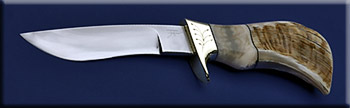 KEF000C-pronghorn-solo.jpg
