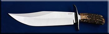 KEKAL001-stag-bowie-solo.jpg
