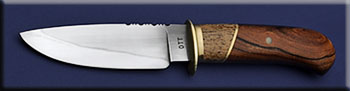 KFO004-iw-scb-hunter-solo.jpg