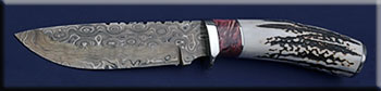 KHRD030-stag-hunter-solo.jpg