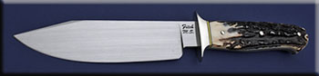 KJFIT018-stag-bowie-solo.jpg