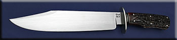 KJFIT022-stag-bowie-solo.jpg