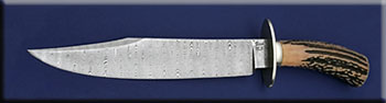 KJFIT023-stag-dam-bowie-solo.jpg