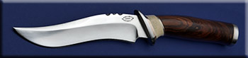 KJH032-dragoon-iw-solo.jpg