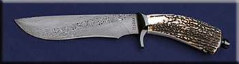 KJR002-dam-stag-hunter-solo-new.jpg