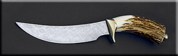 KJR011-dam-persian-hunter-solo.jpg