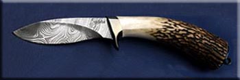 KJS010-cashen-stag-hunter-solo.jpg