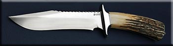 KJS011-stag-fighter-solo.jpg