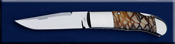 KKS017-coral-solo.jpg
