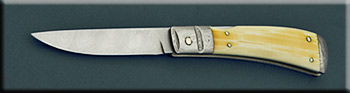 KPJT004-iv-FL-folder-solo.jpg