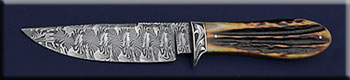 KRNW009-stag-dam-E-hunter-solo.jpg