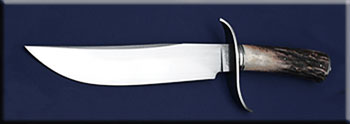 KSMC0004-stag-S-bowie-solo.jpg