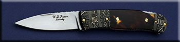 KWDP009C-tort-dam-lb-solo.jpg