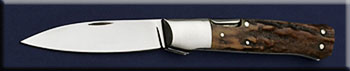 KWDP020-stag-sl-solo.jpg