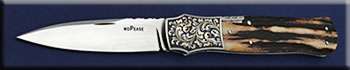 KWDP027-stag-sl-E-spear-solo.jpg